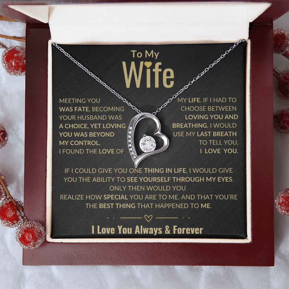 To My Wife Forever Love Necklace | Perfect Wife Gift | Meeting You Was Fate