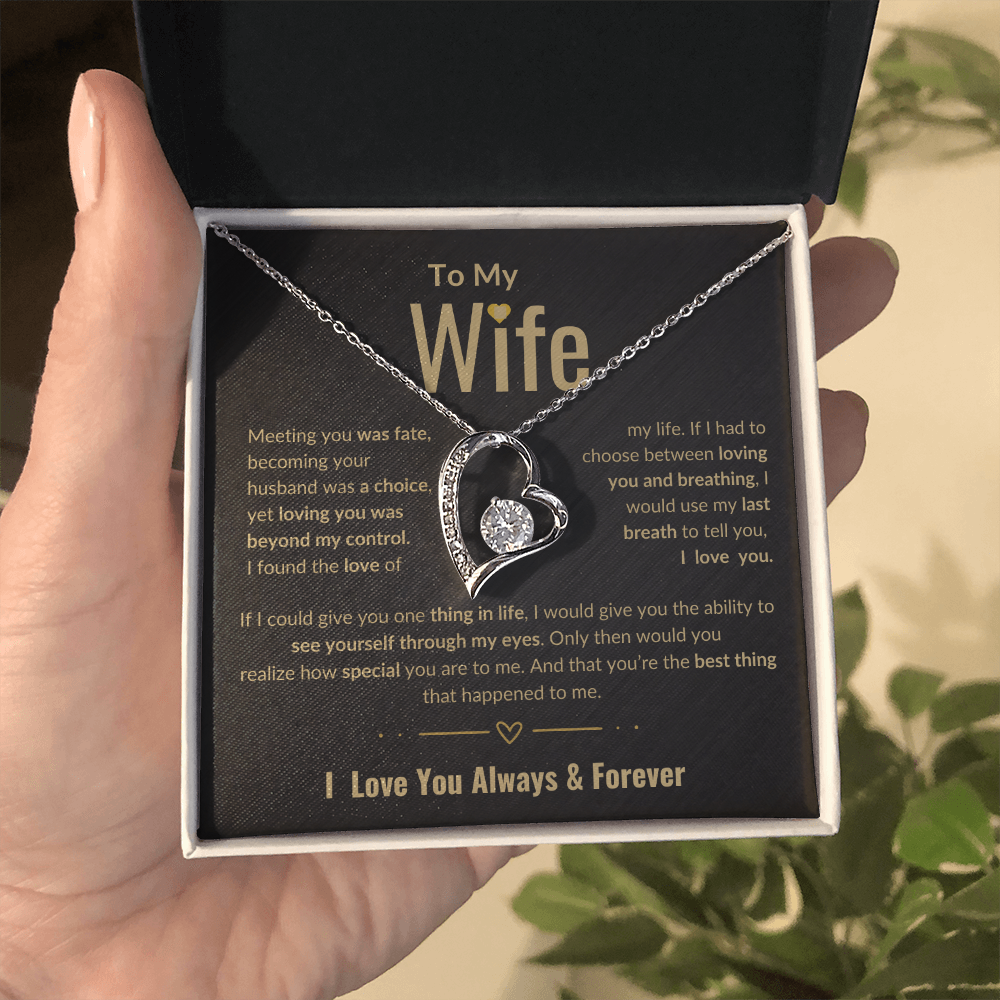 To My Wife Forever Love necklace | Perfect Love Gift | Meeting You Was Fate