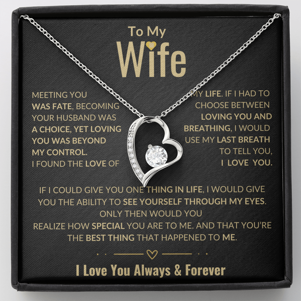 To My Wife Forever Love Necklace | Perfect Wife Gift | Meeting You Was Fate