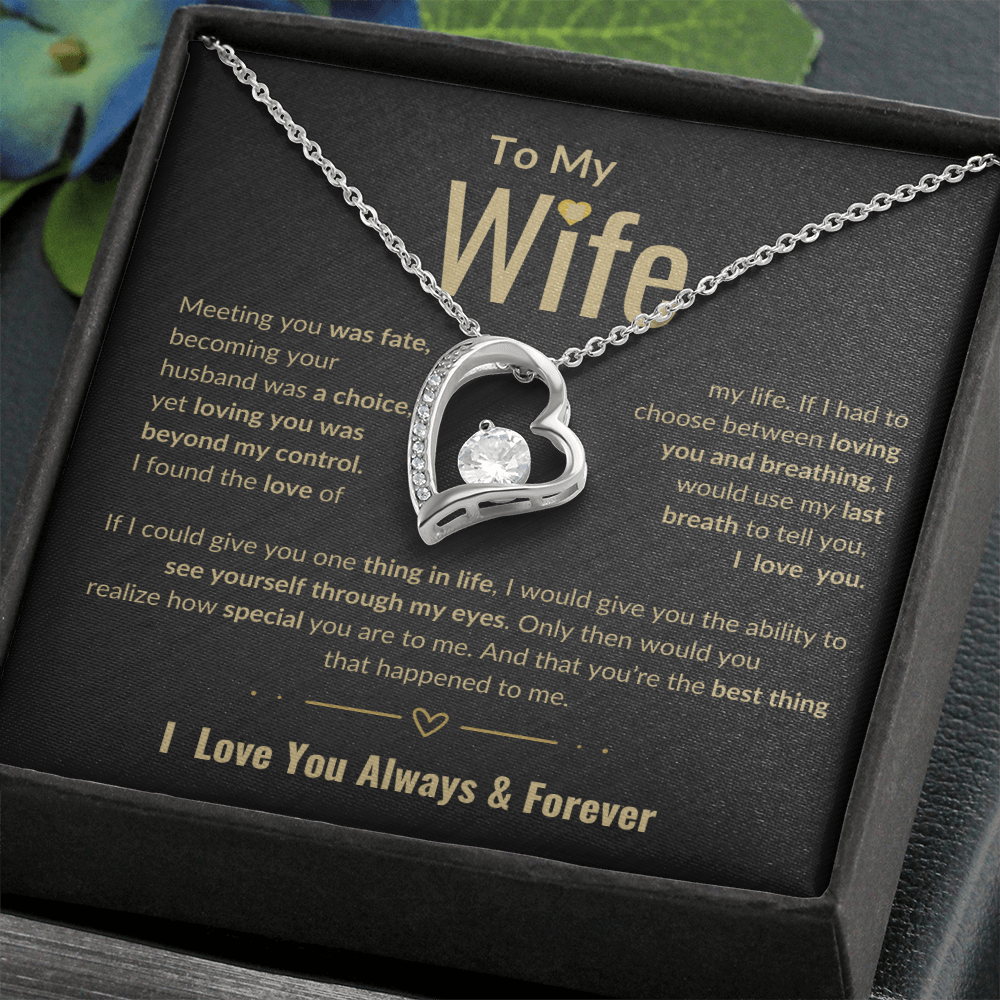 To My Wife Forever Love necklace | Perfect Love Gift | Meeting You Was Fate