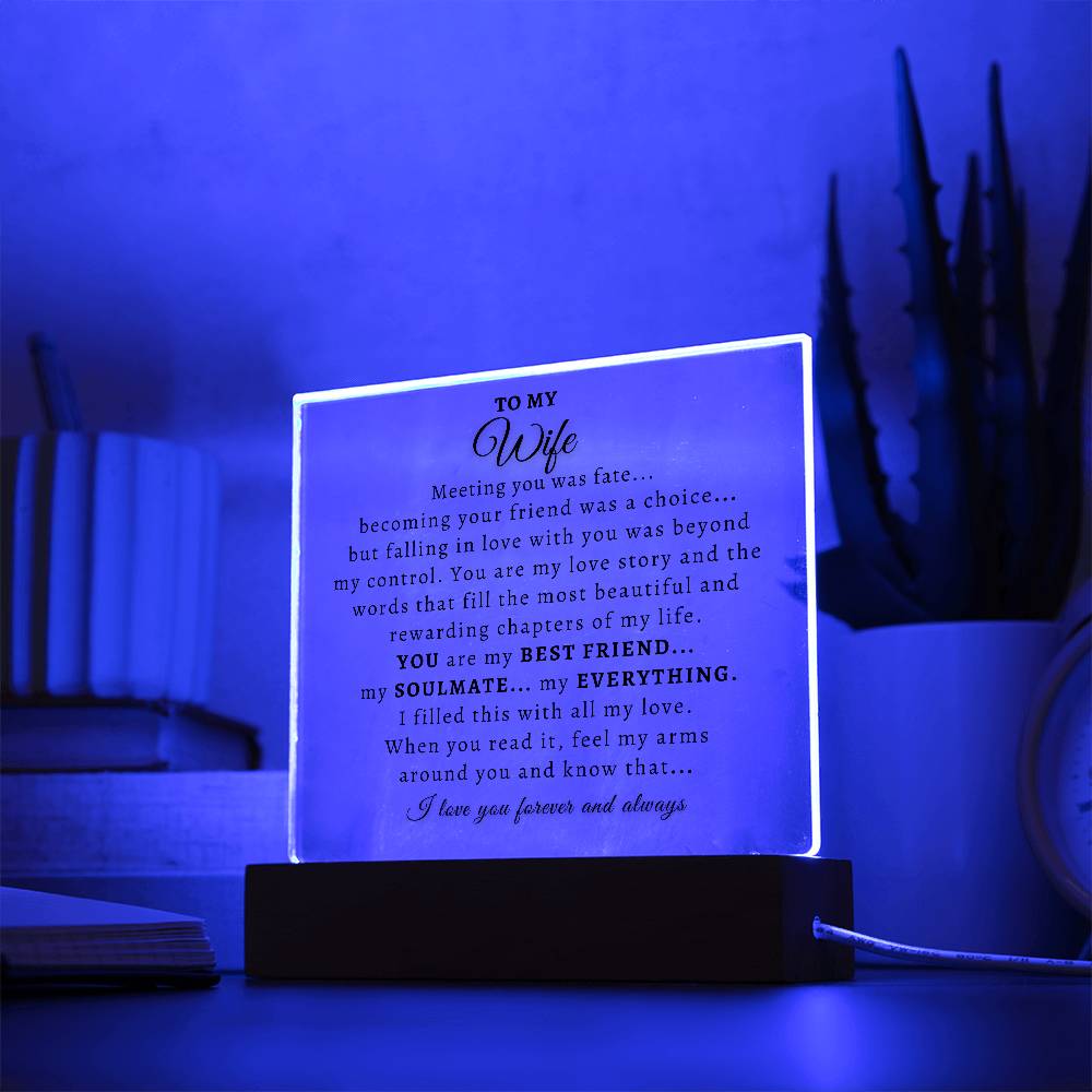 To My Wife  |  Acrylic Plaque  |  Meeting You Was Fate