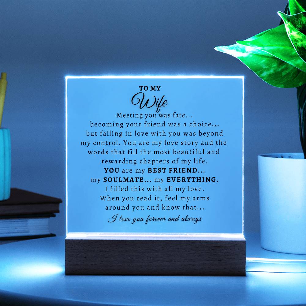 To My Wife  |  Acrylic Plaque  |  Meeting You Was Fate