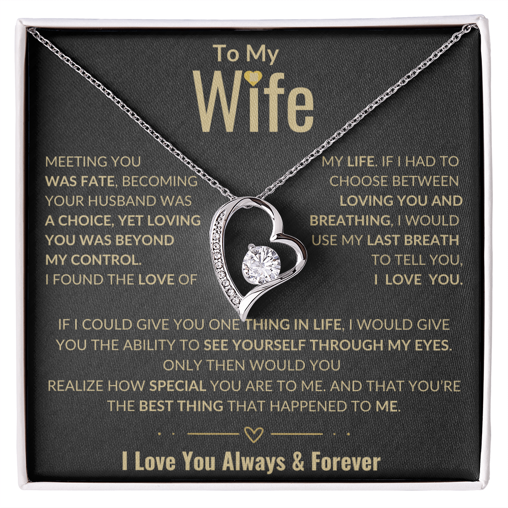 To My Wife Forever Love Necklace | Perfect Wife Gift | Meeting You Was Fate