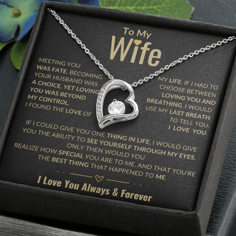 To My Wife Forever Love Necklace | Perfect Wife Gift | Meeting You Was Fate