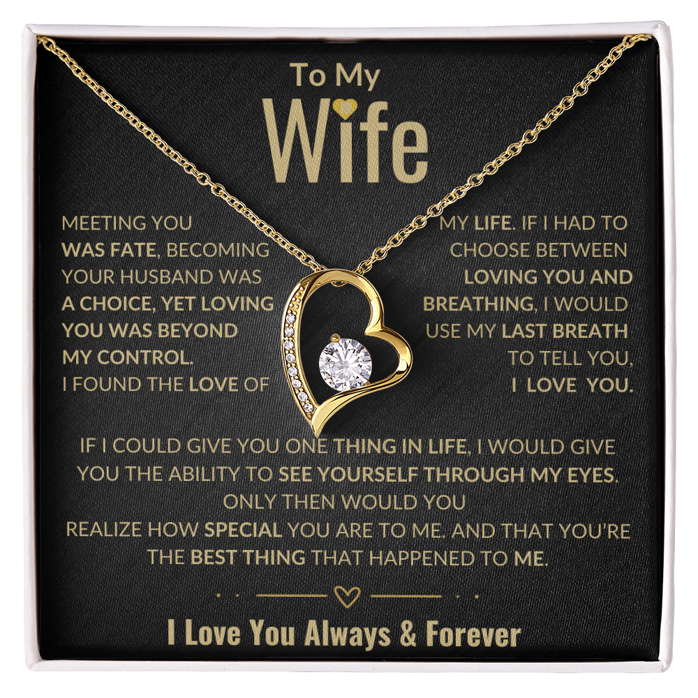 To My Wife Forever Love Necklace | Perfect Wife Gift | Meeting You Was Fate