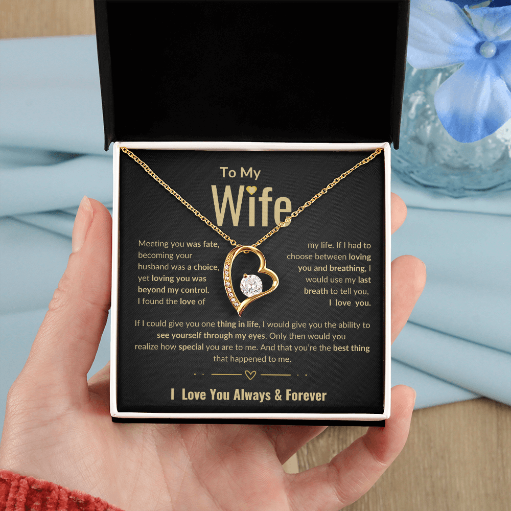To My Wife Forever Love necklace | Perfect Love Gift | Meeting You Was Fate
