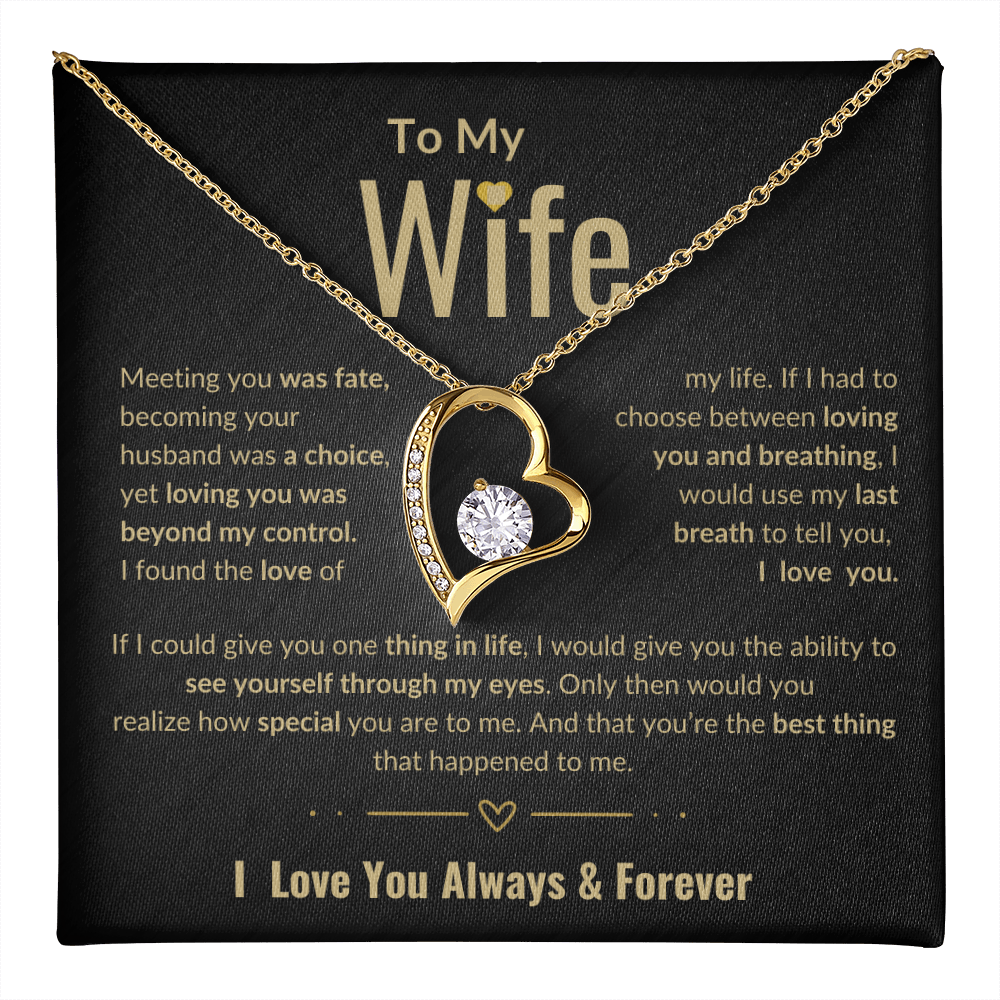 To My Wife Forever Love necklace | Perfect Love Gift | Meeting You Was Fate