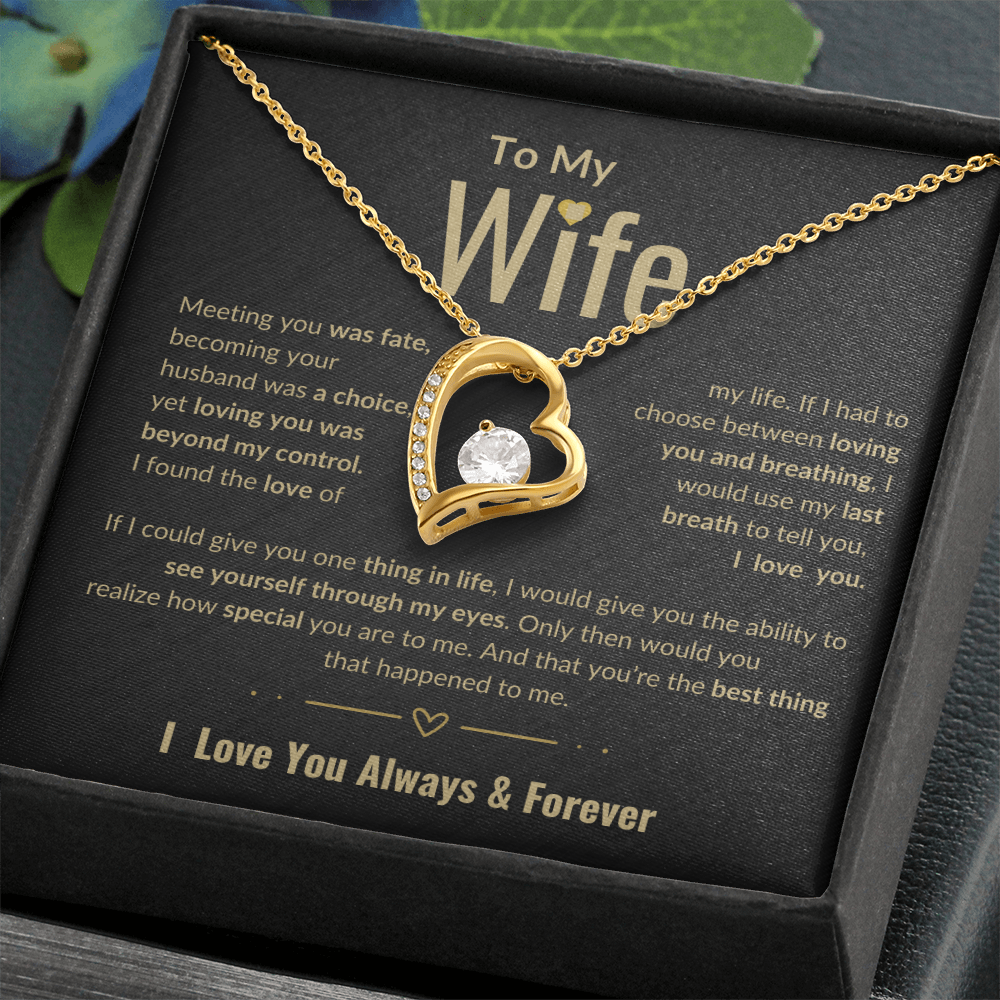 To My Wife Forever Love necklace | Perfect Love Gift | Meeting You Was Fate