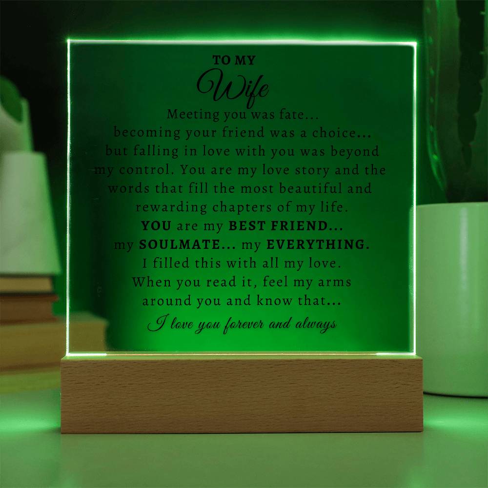 To My Wife  |  Acrylic Plaque  |  Meeting You Was Fate